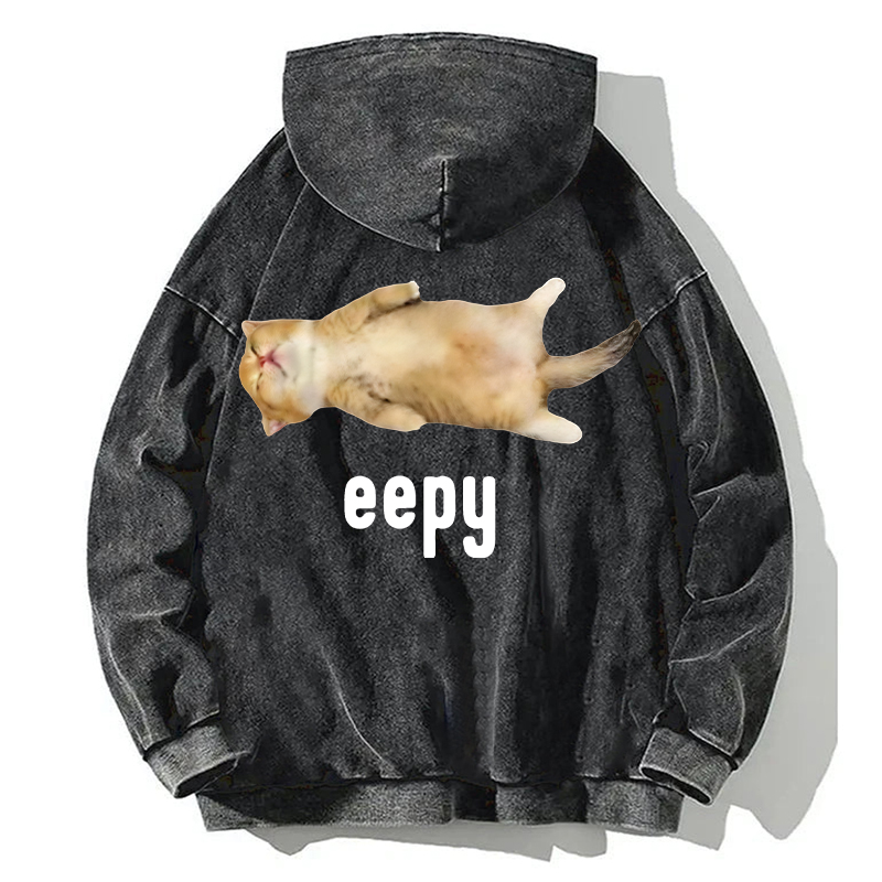 Silly Sleepy Cat Meme Back Washed Hoodie