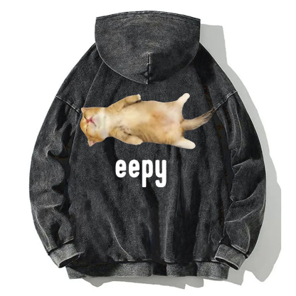 Silly Sleepy Cat Meme Back Washed Hoodie