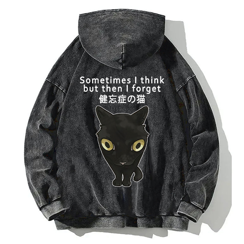 Amnesiac Cat Back Washed Hoodie