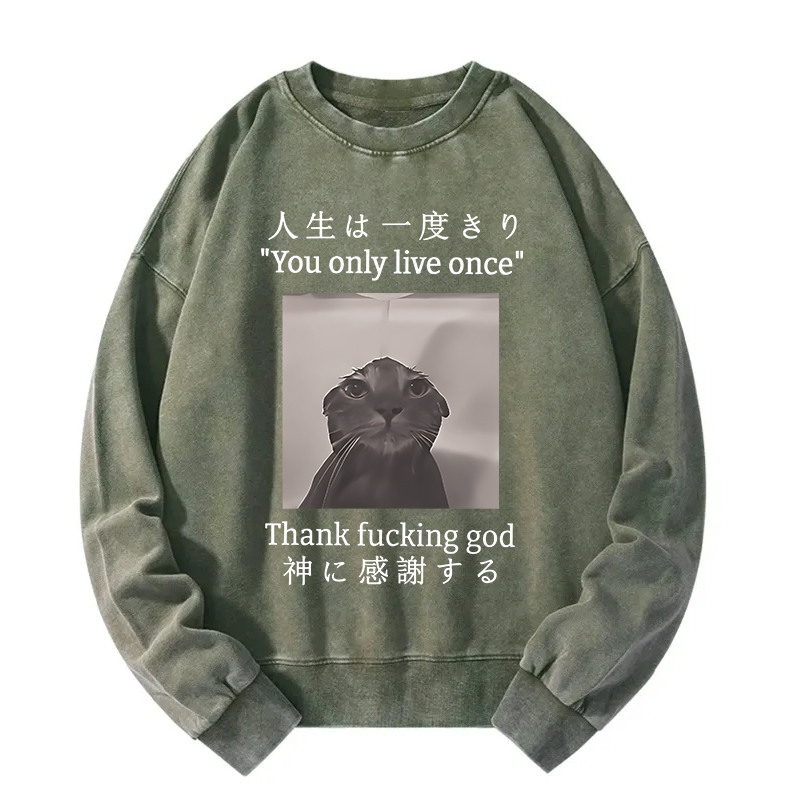 Funny Melancholy Cat Washed Sweatshirt