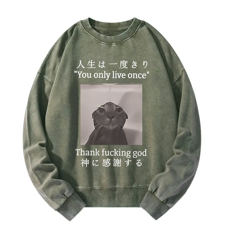 Funny Melancholy Cat Washed Sweatshirt