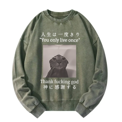 Funny Melancholy Cat Washed Sweatshirt