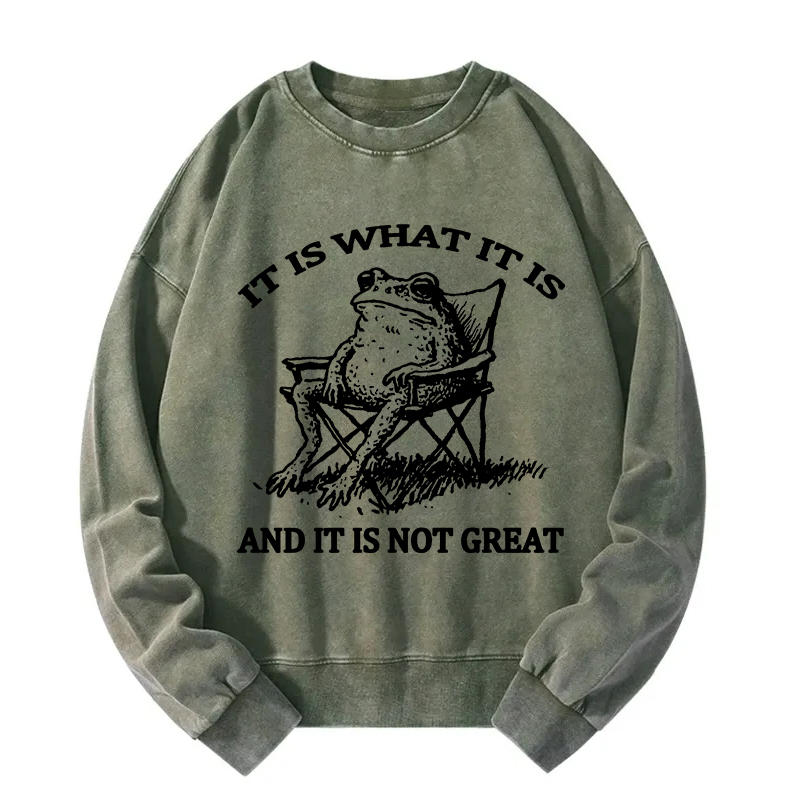 Resting Frog Funny Washed Sweatshirt