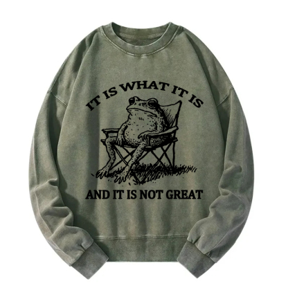 Resting Frog Funny Washed Sweatshirt