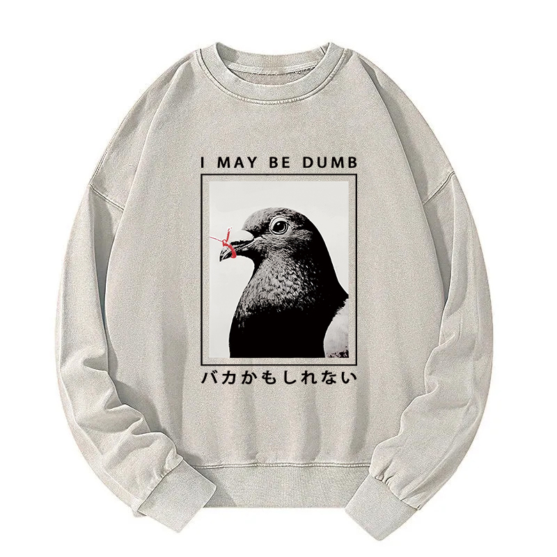I May Be Dumb Funny Washed Sweatshirt