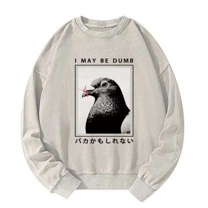I May Be Dumb Funny Washed Sweatshirt