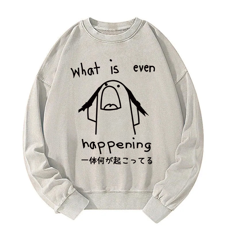 What Is Even Happening Washed Sweatshirt