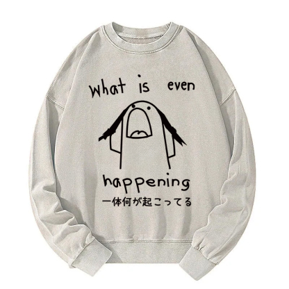 What Is Even Happening Washed Sweatshirt