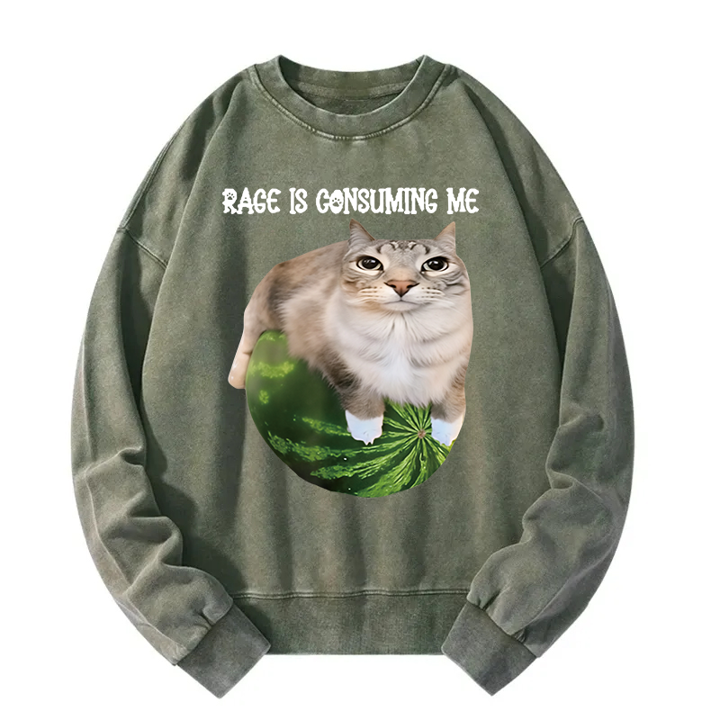 Rage Is Consuming Me Cat Meme Washed Sweatshirt