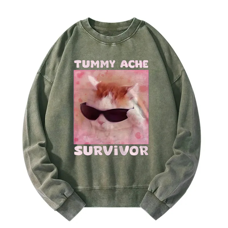 Tummy Ache Survivor Funny Cat Meme Washed Sweatshirt