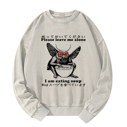 Don't Bother The Mothman Washed Sweatshirt