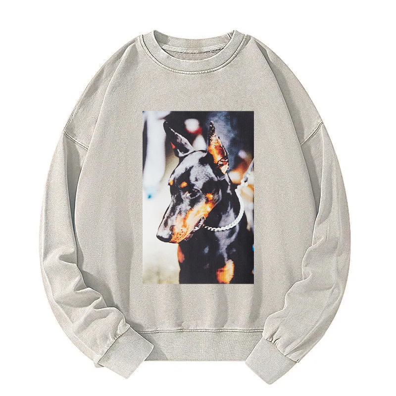 Doberman Pinscher Washed Sweatshirt