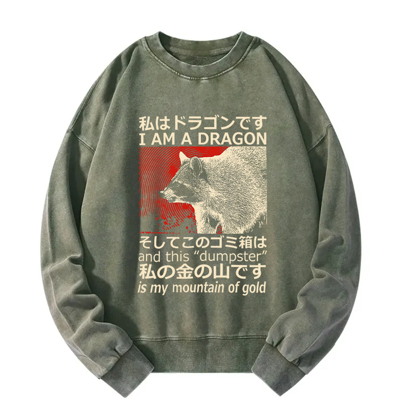I'm A Dragon and this "Dumpster" is My Mountain of Gold Washed Sweatshirt
