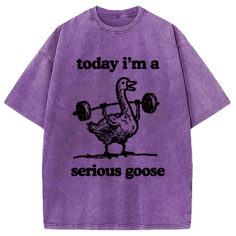 Fitness Goose Washed T-Shirt
