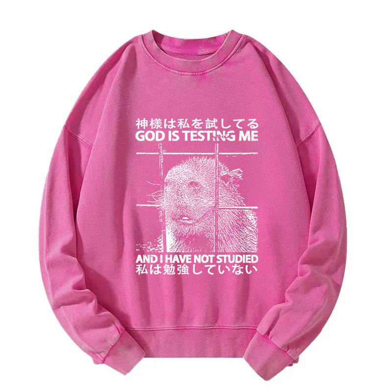 God Is Testing Me Washed Sweatshirt