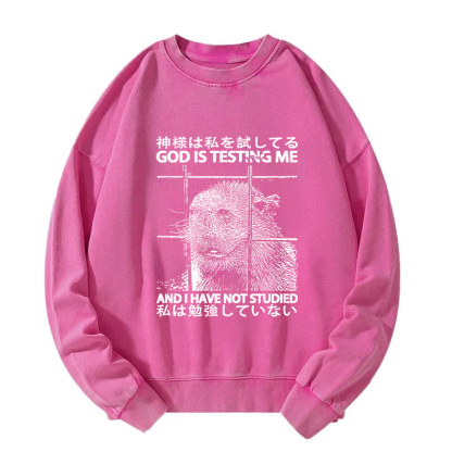 God Is Testing Me Washed Sweatshirt