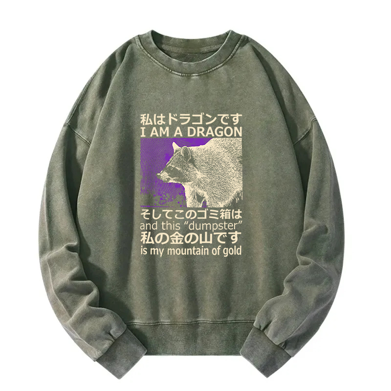 I Am A Dragon and this "Dumpster" is My Mountain of Gold Washed Sweatshirt
