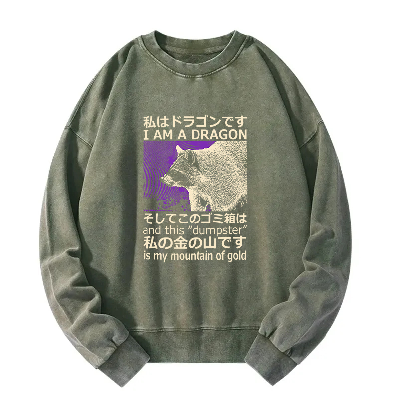 I Am A Dragon and this "Dumpster" is My Mountain of Gold Washed Sweatshirt