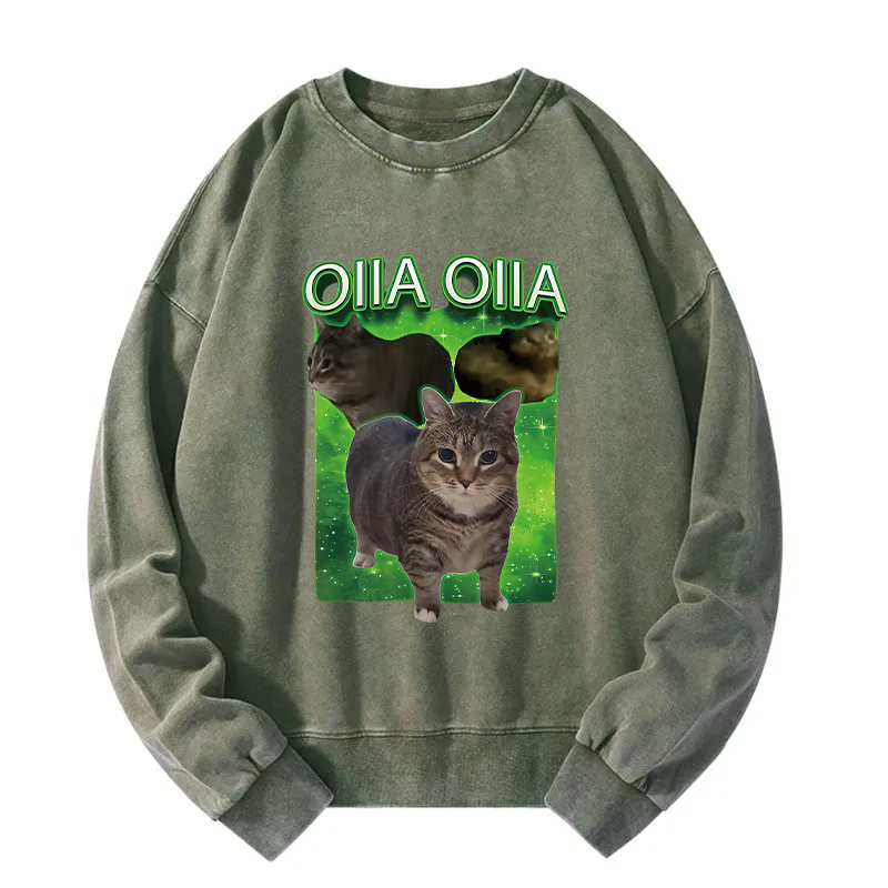 Oiia Cat Funny Meme Washed Sweatshirt