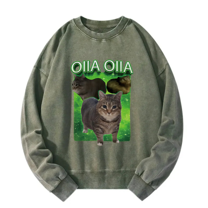 Oiia Cat Funny Meme Washed Sweatshirt