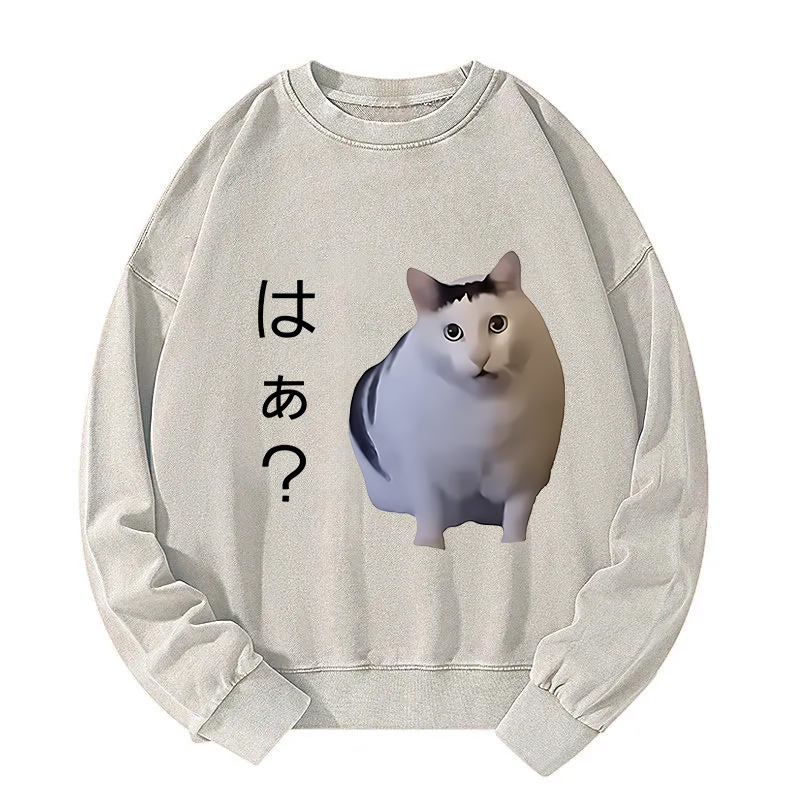 Suspicious Funny Cat Washed Sweatshirt