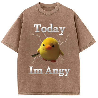 Today I'm Angry Washed T-Shirt