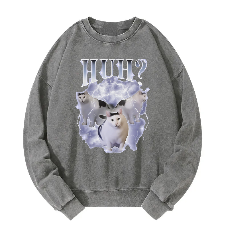 Huh Cat Chonky Ben Meme Washed Sweatshirt
