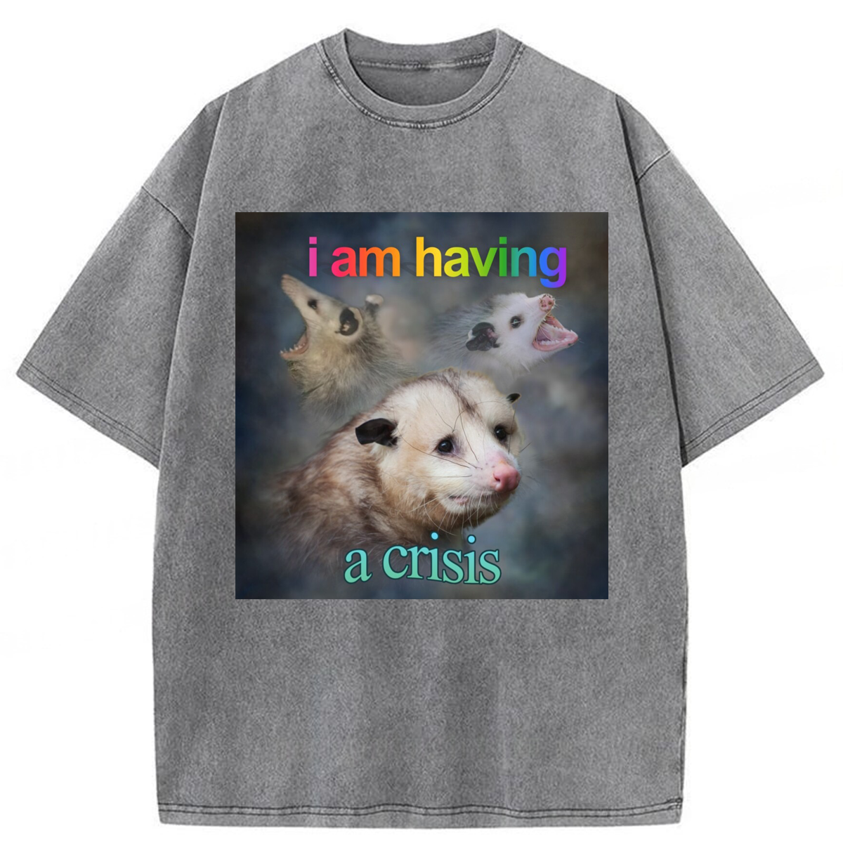 Tokyoviva I Am Having A Crisis Possum Washed T-shirt
