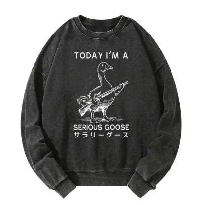 Serious Stupid Goose Washed Sweatshirt