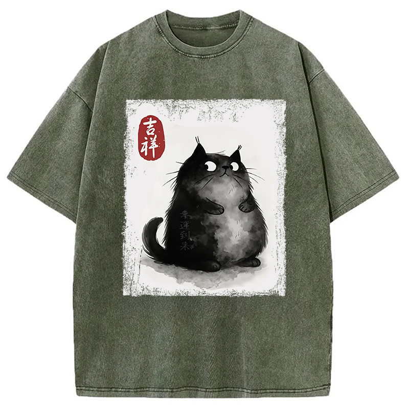Auspicious Fluffy Black Cat Washed T-Shirt