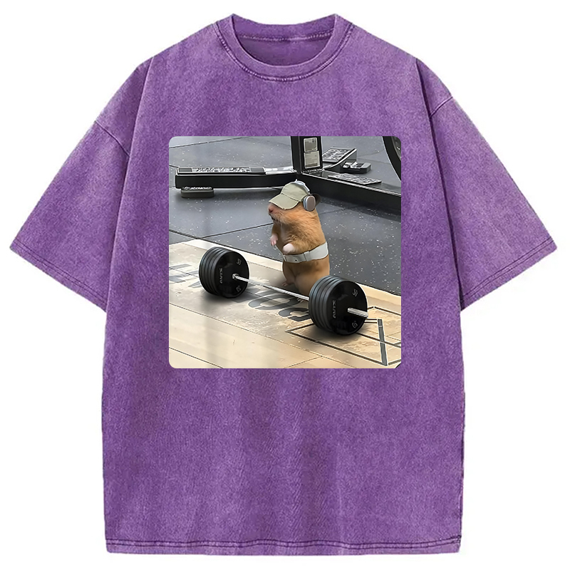 Funny Cute Rat Weightlifting Meme Washed T-Shirt