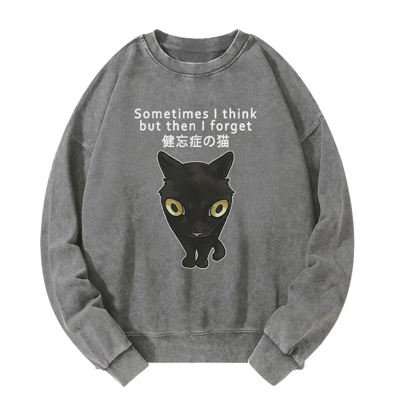 Amnesiac Cat Washed Sweatshirt