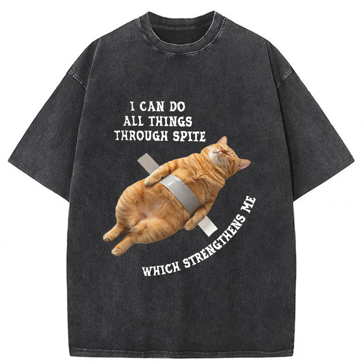 Tokyoviva All-powerful Cat Washed T-shirt