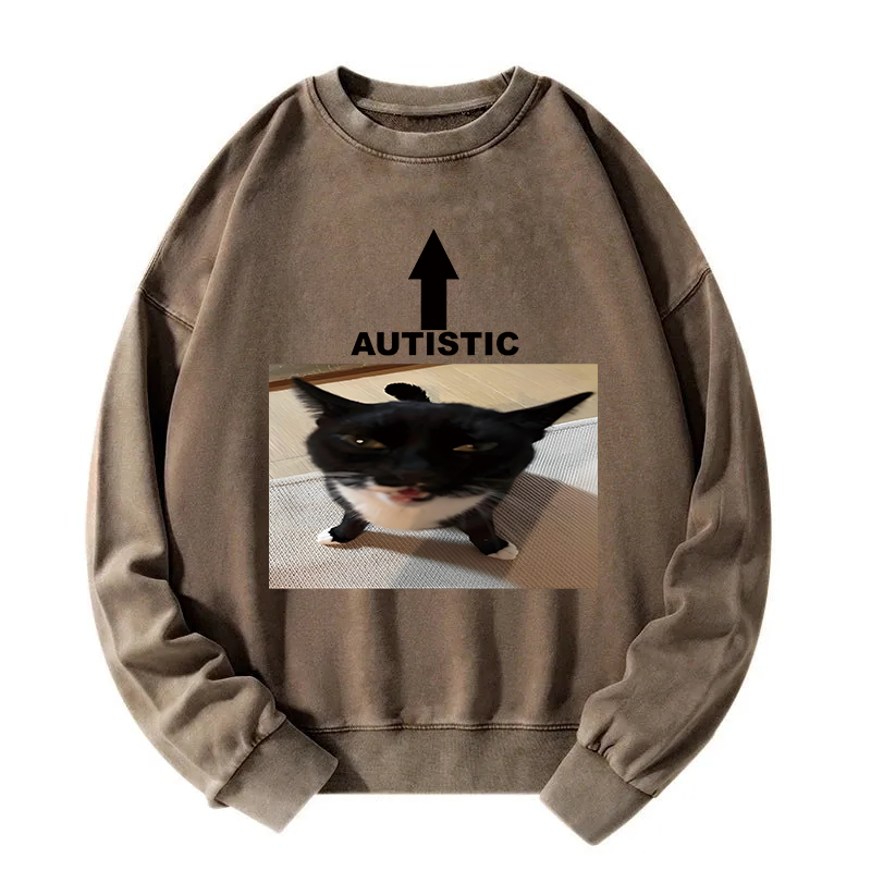 Autistic Cat Washed Sweatshirt