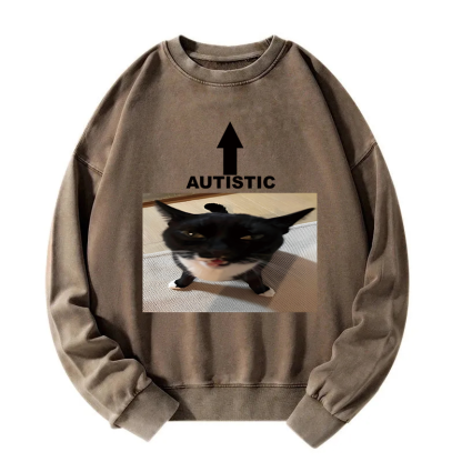 Autistic Cat Washed Sweatshirt
