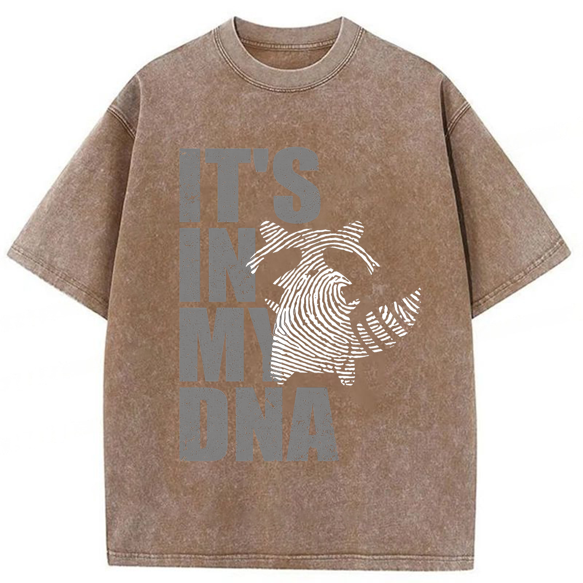 Tokyoviva Raccoon It's In My DNA Washed T-shirt