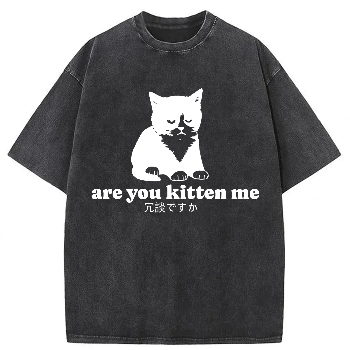 Tokyoviva Are You Kitten Me Washed T-shirt