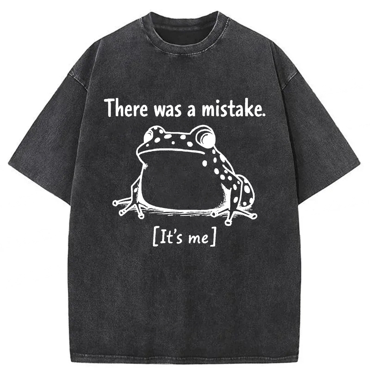Tokyoviva There Was A Mistake Self Deprecating Washed T-shirt