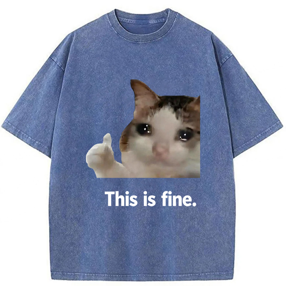 Tokyoviva Cat Meme Funny Washed T-shirt