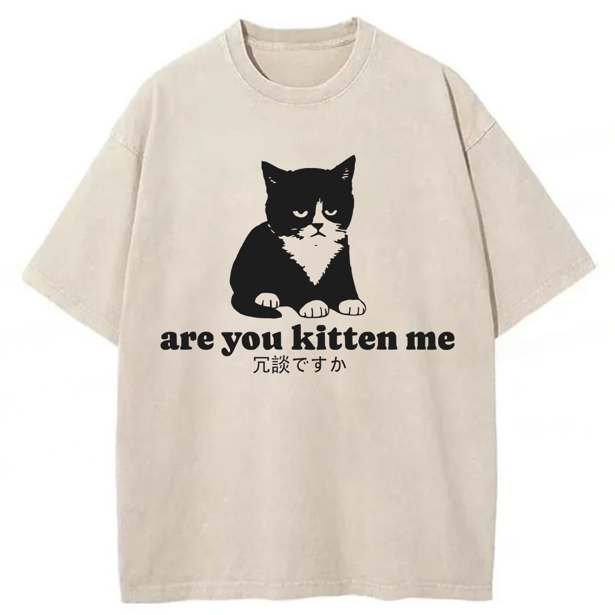 Tokyoviva Are You Kitten Me Washed T-shirt