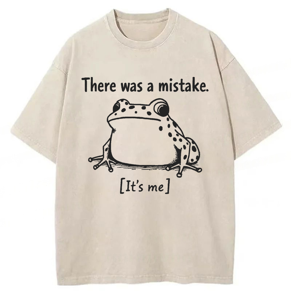 Tokyoviva There Was A Mistake Self Deprecating Washed T-shirt