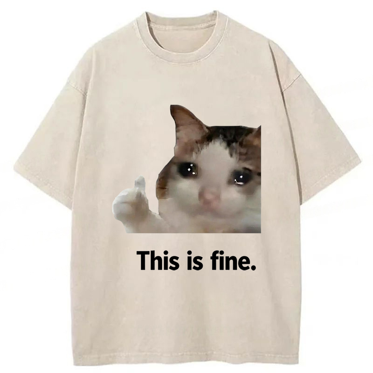 Tokyoviva Cat Meme Funny Washed T-shirt