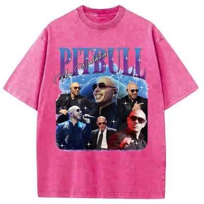 Pitbull Mr.Worlwide Retro Washed T-Shirt
