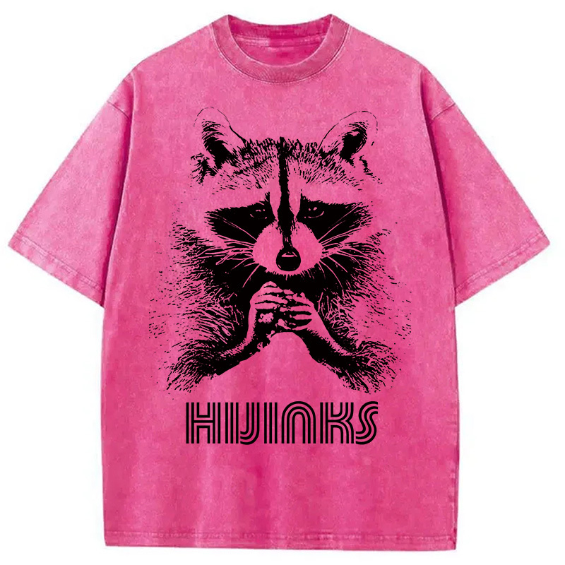 Raccoon Hijinks Washed T-Shirt