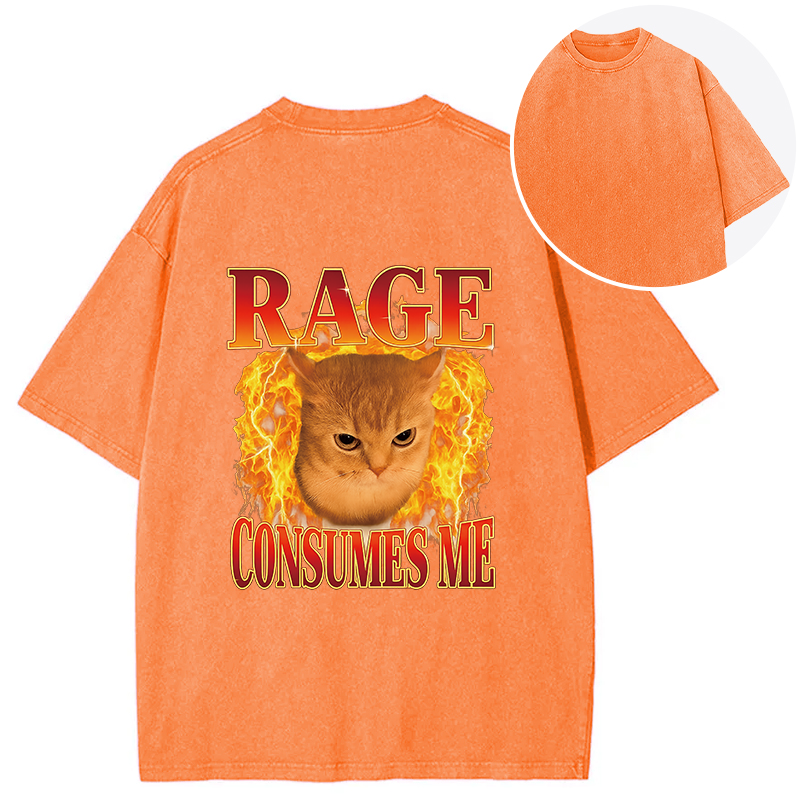 Rage Consumes Me Edgy Funny Cat Meme Back Washed T-Shirt