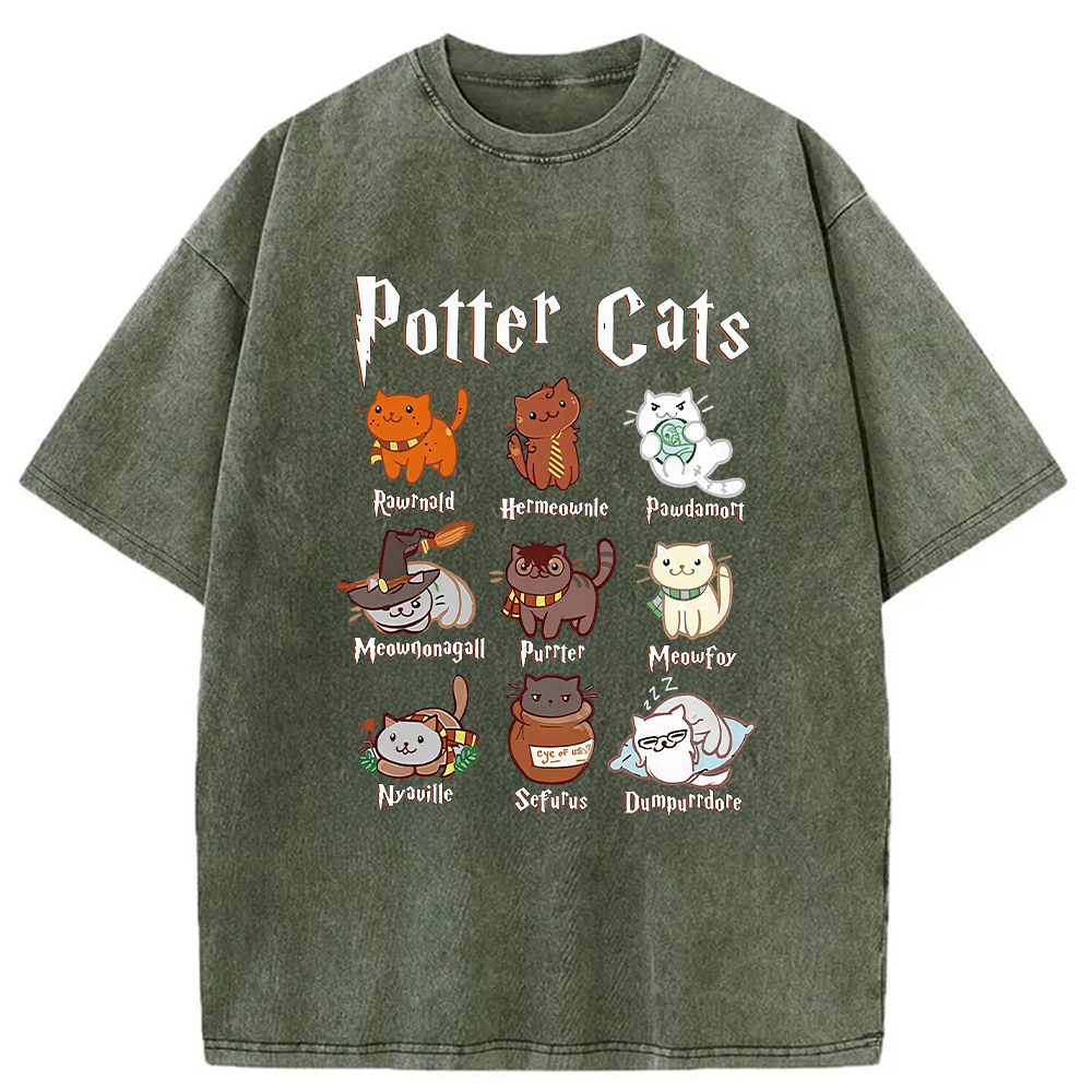 Wizard Cats Washed T-Shirt