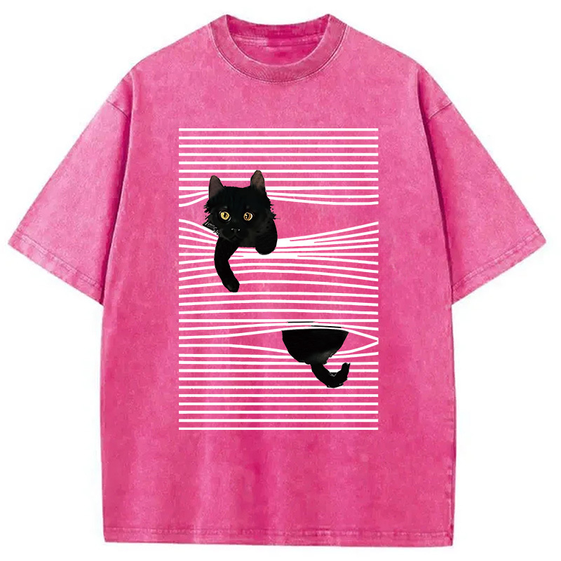 Cat Scratching Curtain Washed T-Shirt