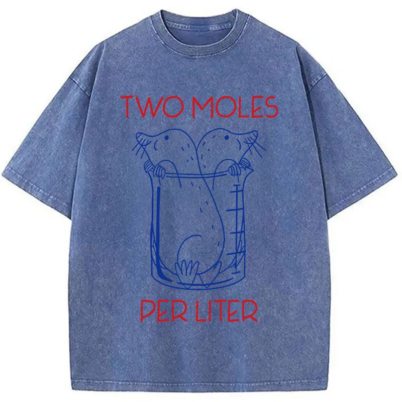 Two Moles Per Liter Washed T-Shirt