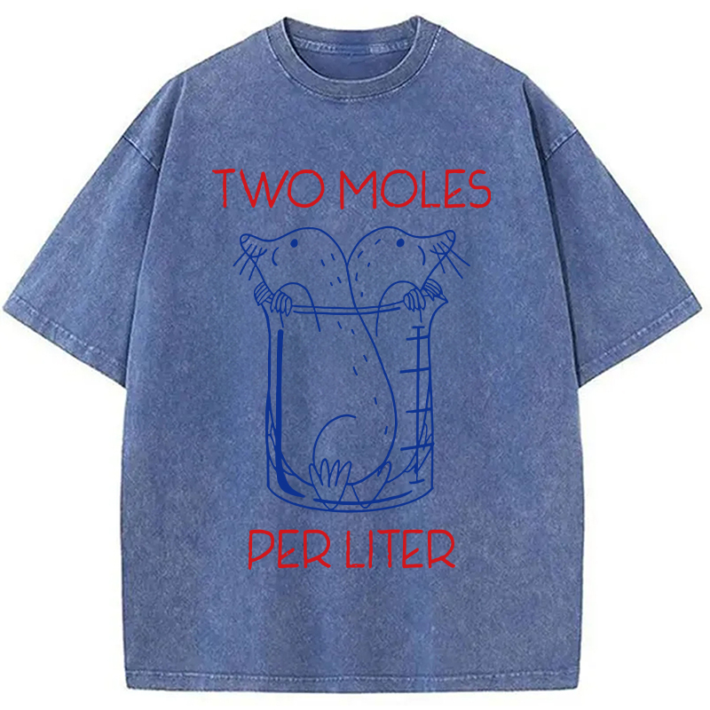 Two Moles Per Liter Washed T-Shirt