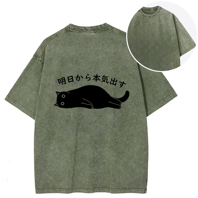 I'm Going To Get Serious Tomorrow Back Washed T-Shirt